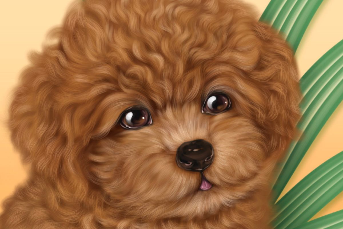 Poodle Pet Portrait Tutorial for Procreate (Free Brushes)